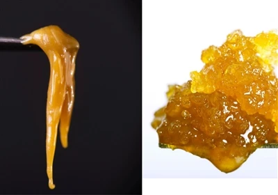 Live Resin εναντίον Live Rosin: Ποια είναι η διαφορά;